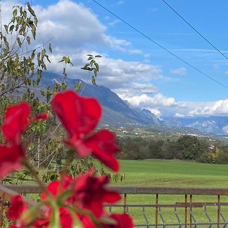 Il Mondo Roverso Feltre Kültér fotó
