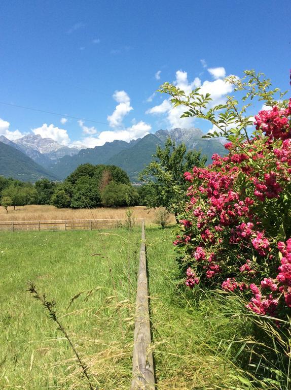 Il Mondo Roverso Feltre Kültér fotó